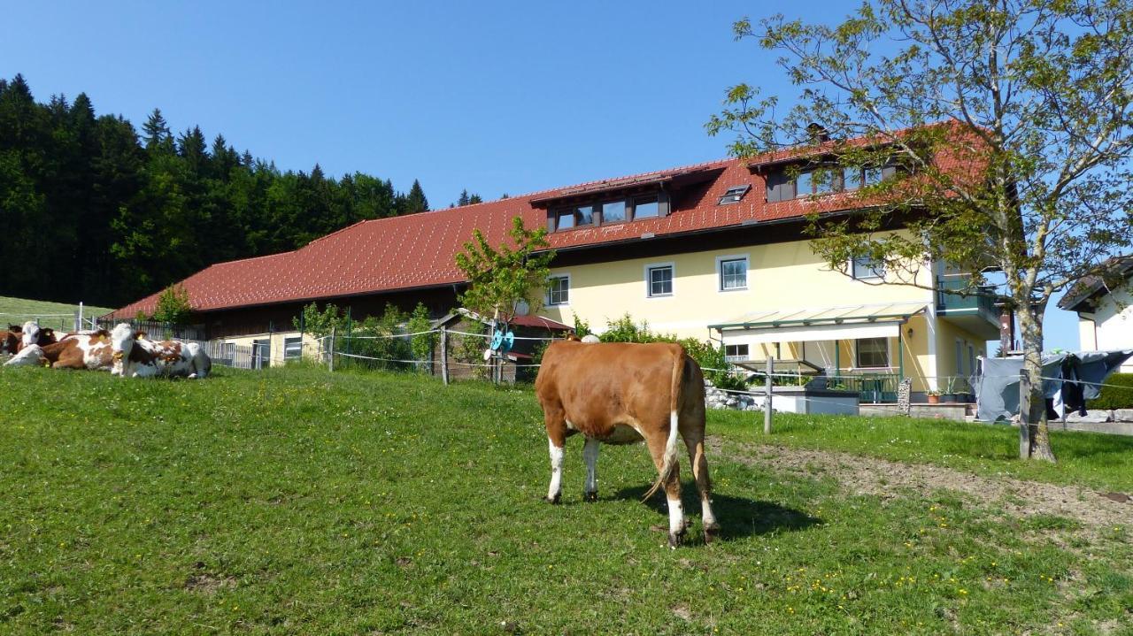 Ferienwohnung Steger Mattsee Exterior photo